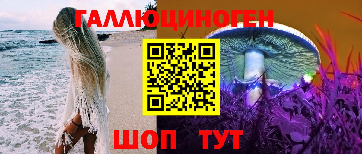 Псилоцибиновые грибы Psilocybe Лабытнанги